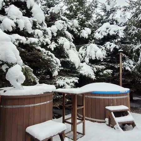 Holiday home Dom Pod Brzoza-urowo Urowo