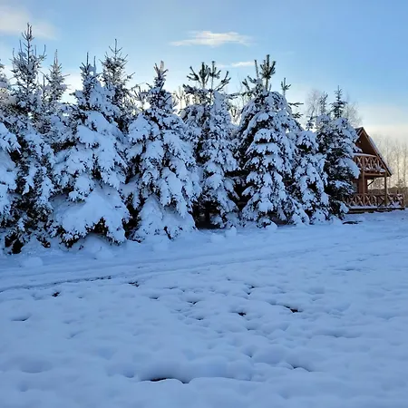Holiday home Dom Pod Brzoza-urowo *